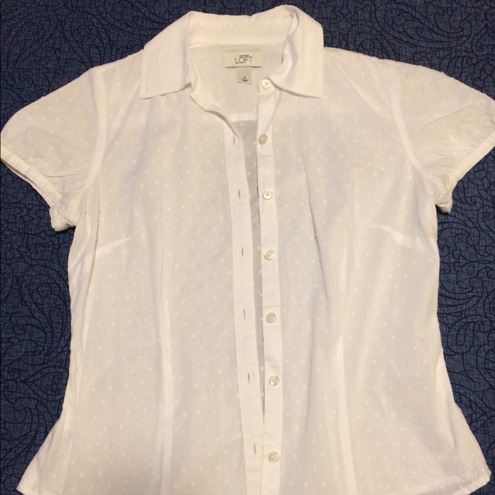 White button up collared shirt